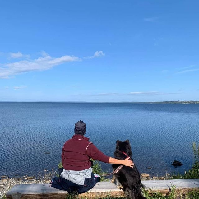 Bynäset 2019