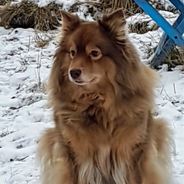 Cleo 14/9 10-27/1 2020